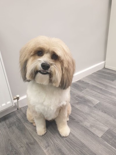 Grooming Van Image