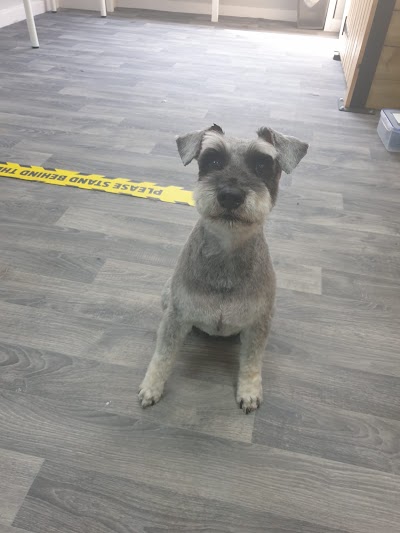 Grooming Van Image