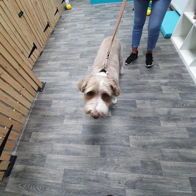 Grooming Van Image