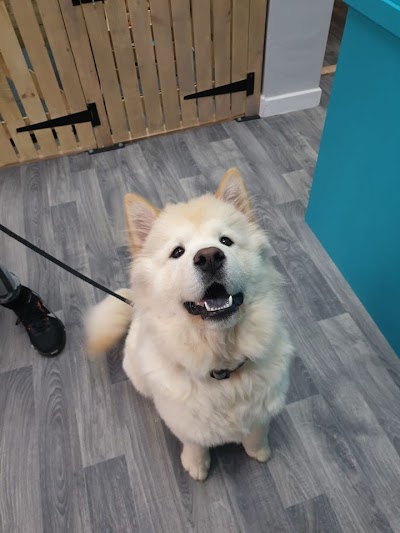 Grooming Van Image