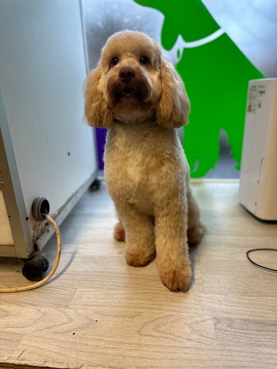 Grooming Van Image