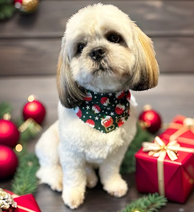 Grooming Van Image