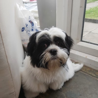 Grooming Van Image
