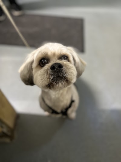 Grooming Van Image