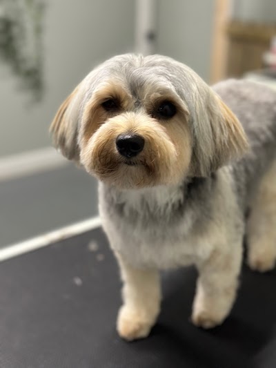 Grooming Van Image