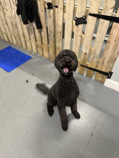 Grooming Van Image