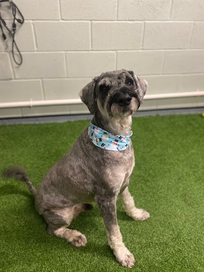 Grooming Van Image