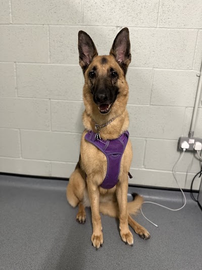 Grooming Van Image