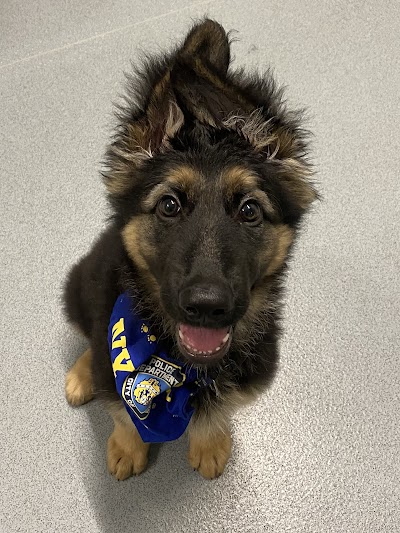 Grooming Van Image