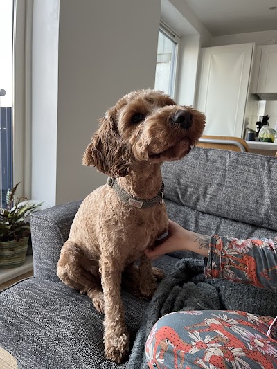 Grooming Van Image