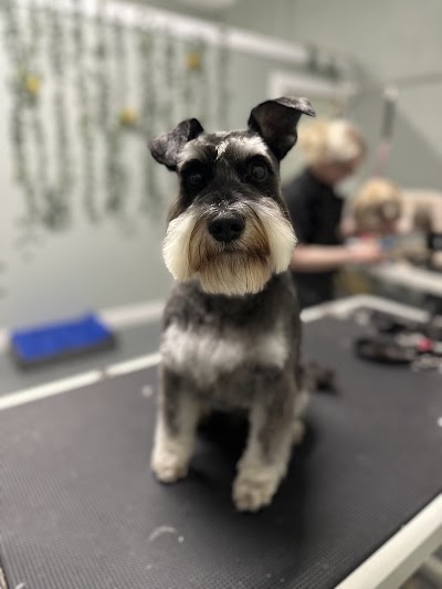 Bespoke Dog Grooming