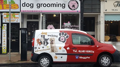 Grooming Van Image