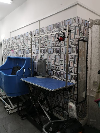 Grooming Van Image