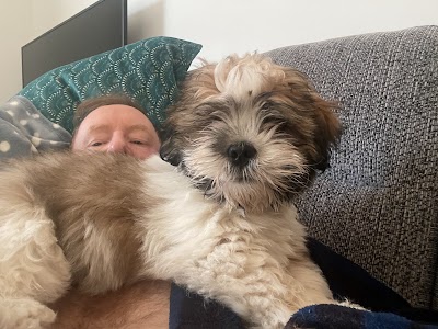 Grooming Van Image