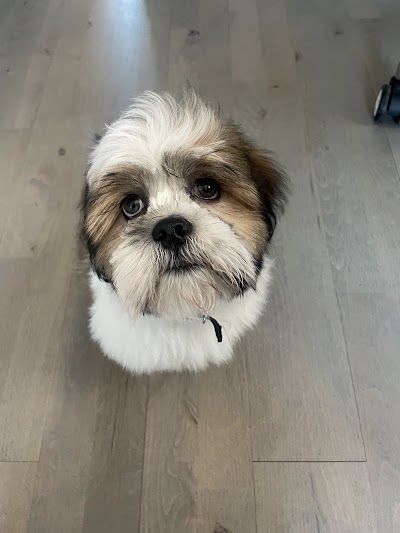 Grooming Van Image