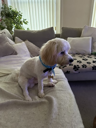 Grooming Van Image