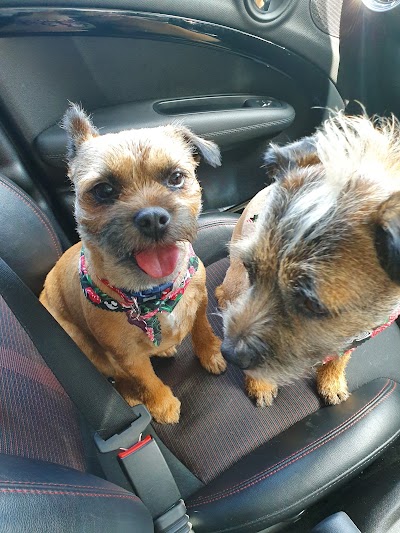 Grooming Van Image