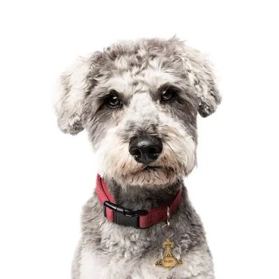 Grooming Van Image