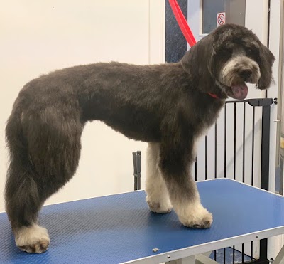 Grooming Van Image