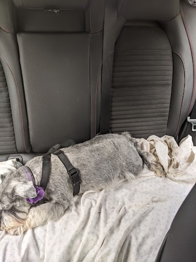 Grooming Van Image