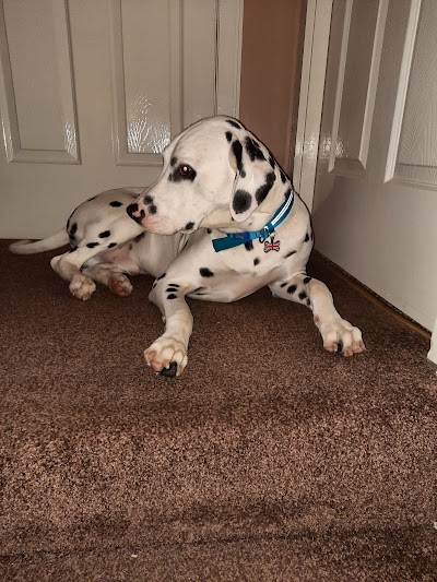 Grooming Van Image