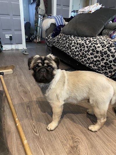 Grooming Van Image