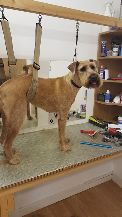 Grooming Van Image