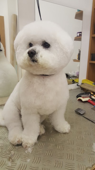 Grooming Van Image