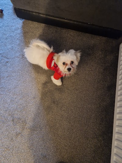 Grooming Van Image