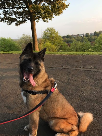 Grooming Van Image