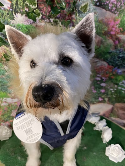 Grooming Van Image