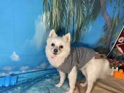Diane Taylor dog grooming & pretty paws pet shop