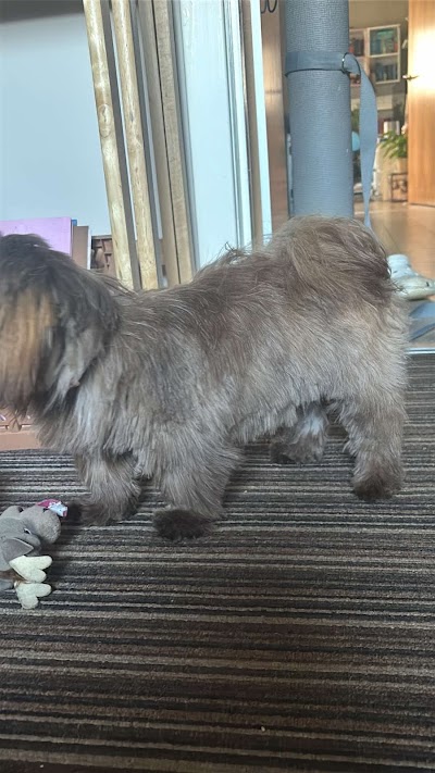 Grooming Van Image