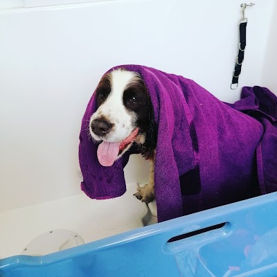 Grooming Van Image