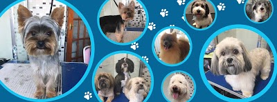 Eliza's Dog Grooming