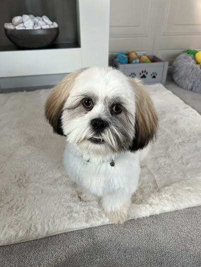 Grooming Van Image