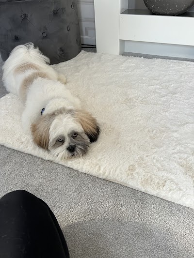 Grooming Van Image