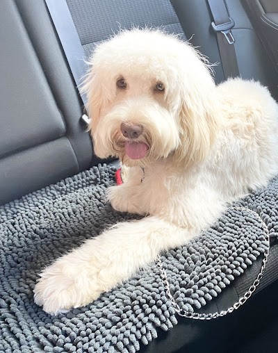 Grooming Van Image