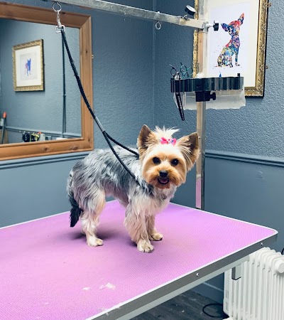 Grooming Van Image