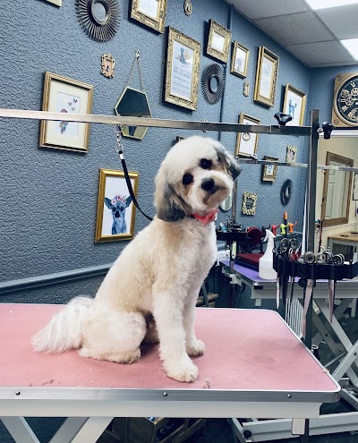Grooming Van Image