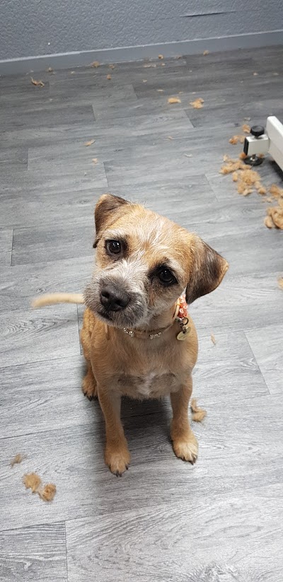 Grooming Van Image