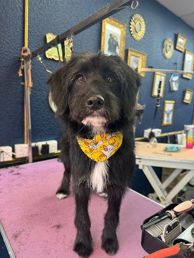 Grooming Van Image