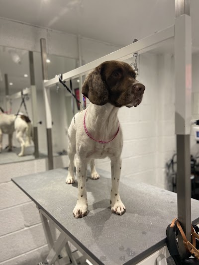 Grooming Van Image