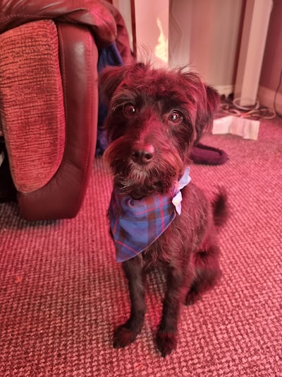 Grooming Van Image