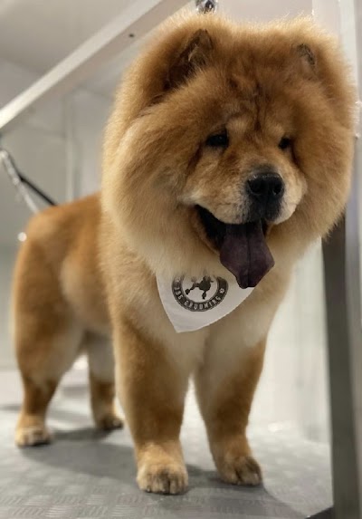 Grooming Van Image