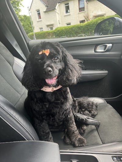Grooming Van Image