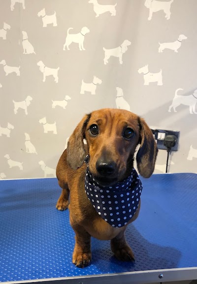 Grooming Van Image