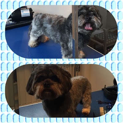 Grooming Van Image