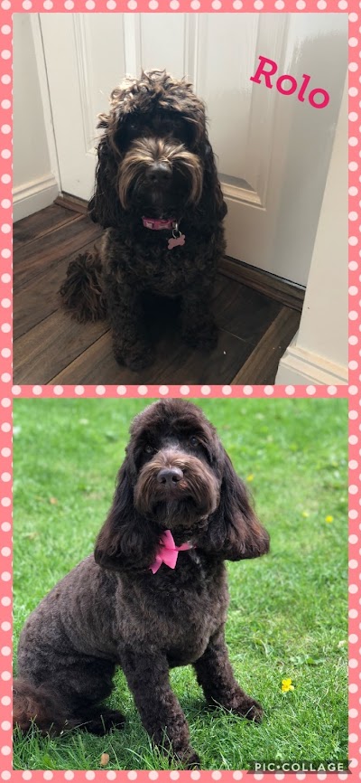 Grooming Van Image