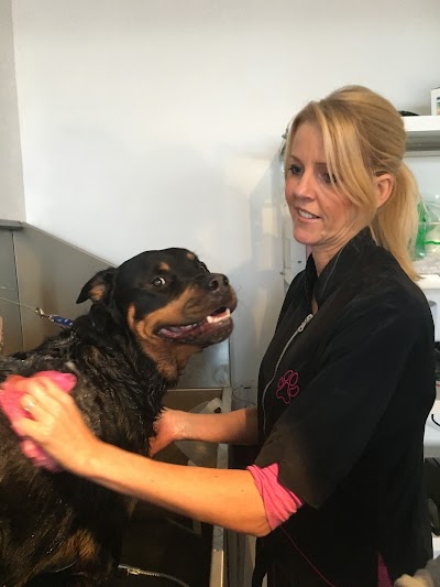 Grooming Van Image
